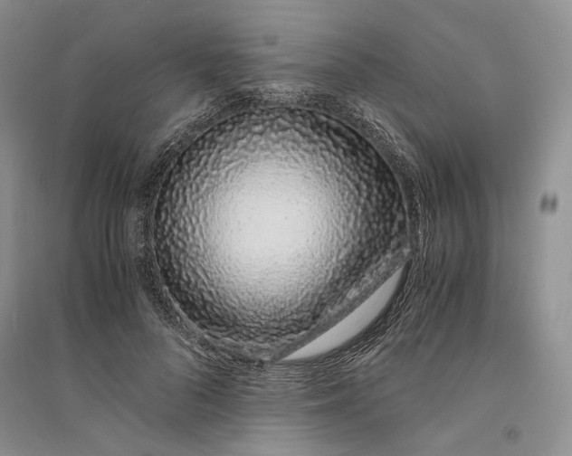 X0000094080696200711091215