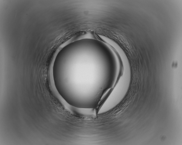 X0000094080697200711091215