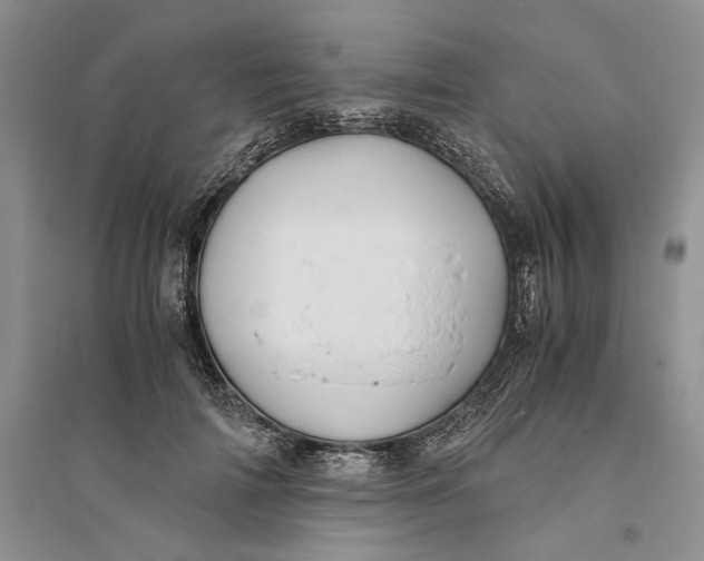 X0000094080698200711091215