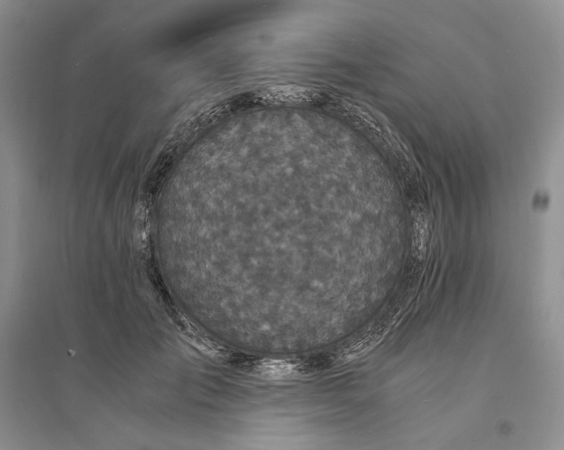 X0000094080701200711091215