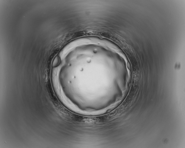X0000094080703200711091215