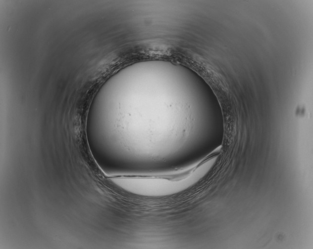 X0000094080704200711091215