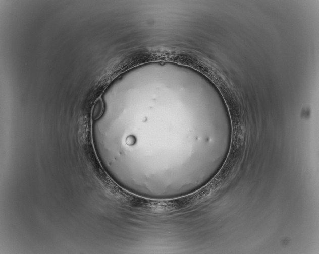 X0000094080707200711091215