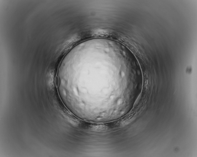 X0000094080708200711091215