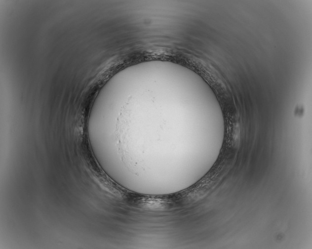 X0000094080710200711091215