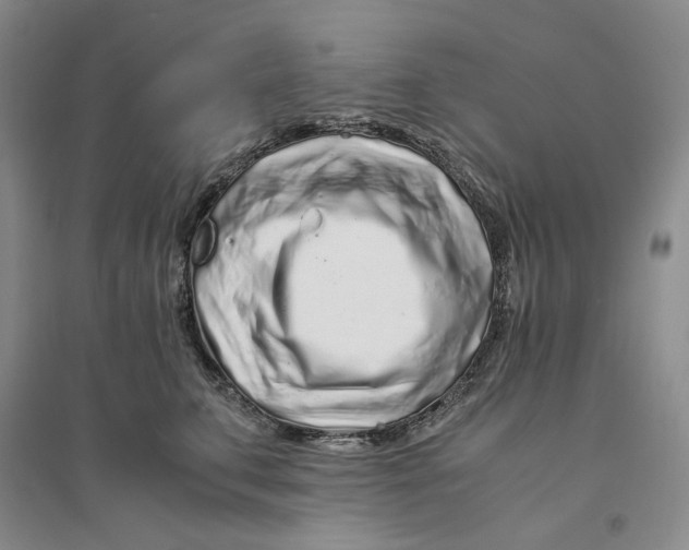 X0000094080711200711091215