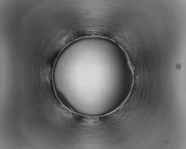 X0000094080712200711091215