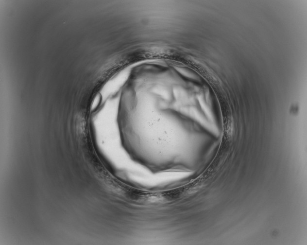 X0000094080715200711091215