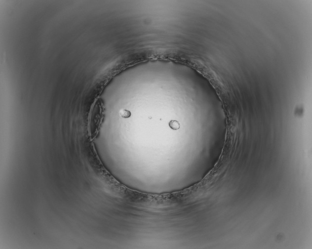 X0000094080716200711091215