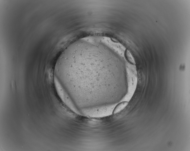 X0000094080718200711091215