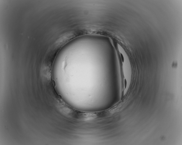 X0000094080719200711091215