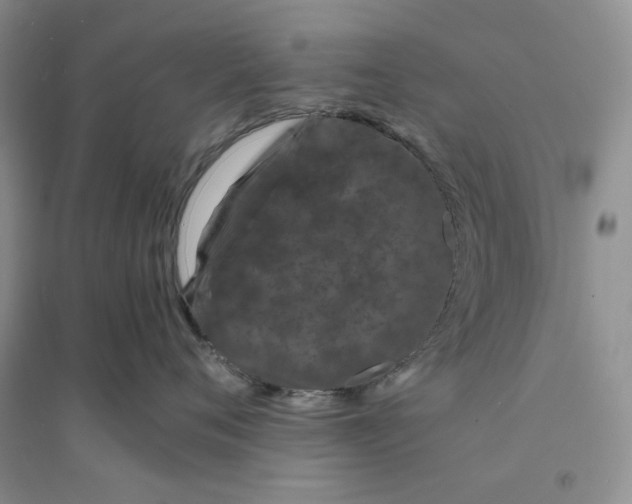 X0000094080720200711091215