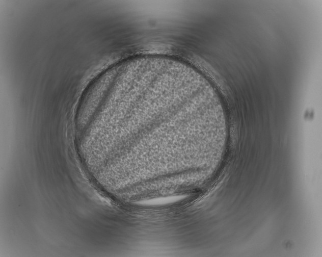 X0000094080721200711091214