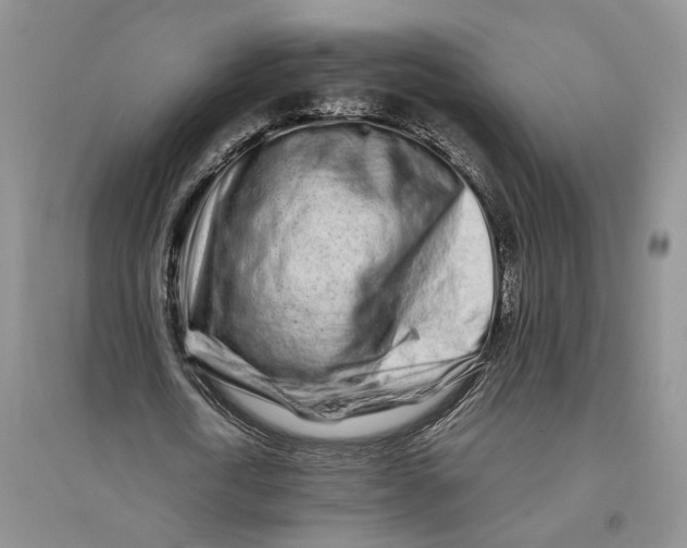 X0000094080722200711091214