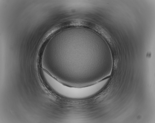 X0000094080724200711091214