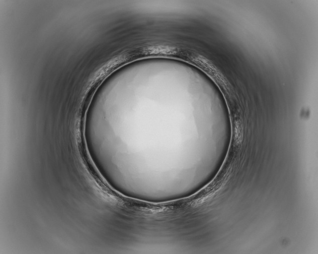 X0000094080725200711091214