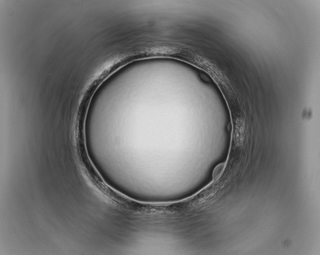 X0000094080726200711091214