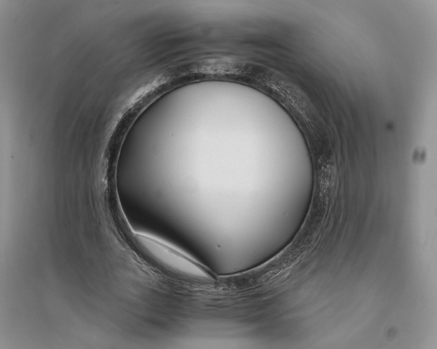 X0000094080727200711091214