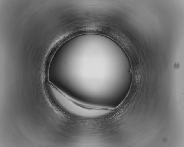 X0000094080728200711091214