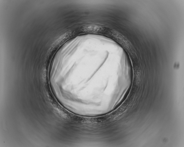 X0000094080729200711091214
