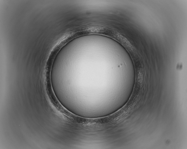 X0000094080730200711091214