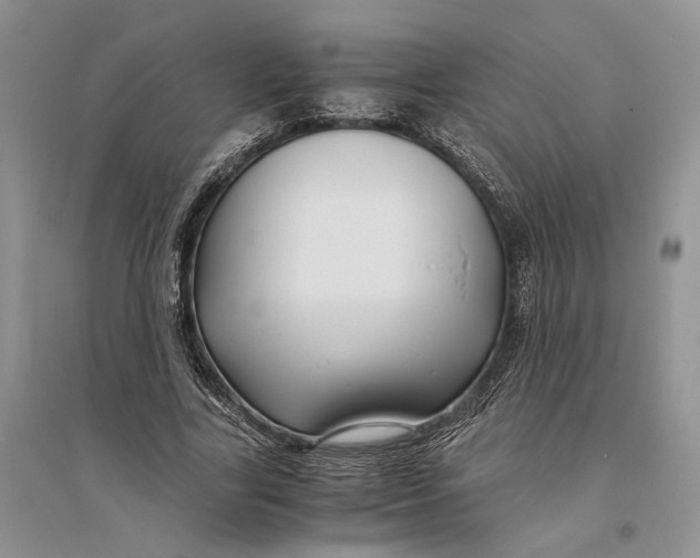X0000094080731200711091214