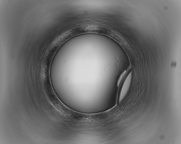 X0000094080732200711091214