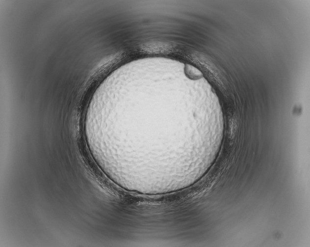 X0000094080733200711091214
