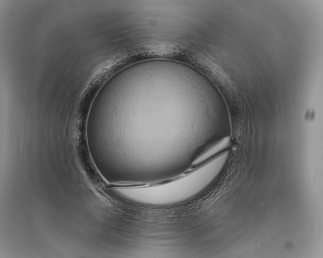 X0000094080736200711091214