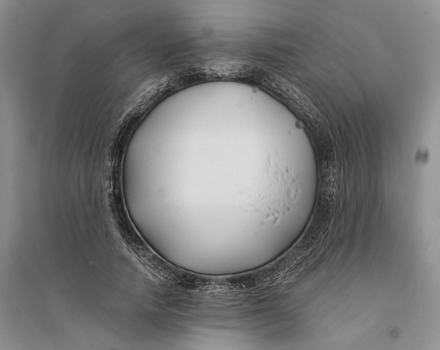 X0000094080738200711091214