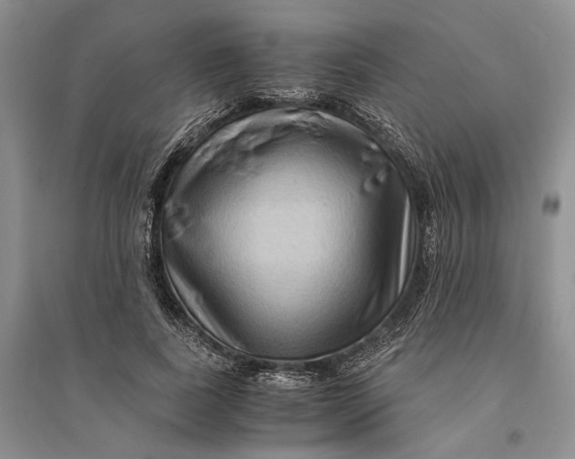 X0000094080739200711091214