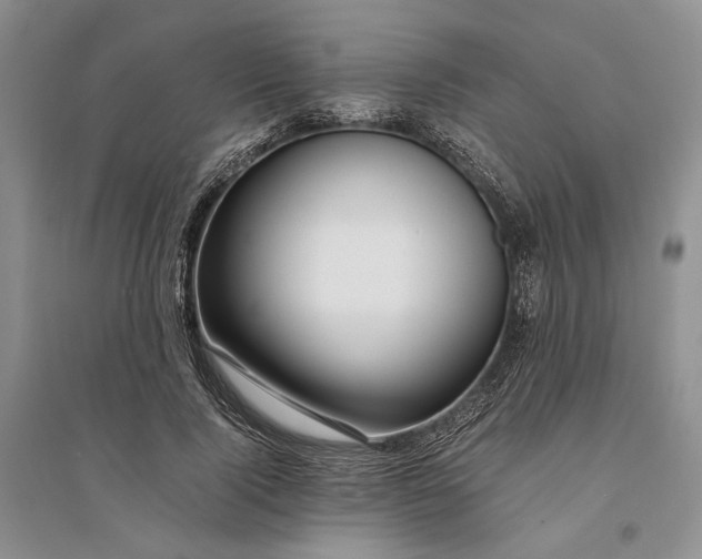 X0000094080740200711091214
