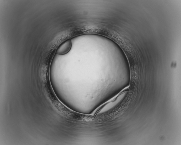 X0000094080742200711091214