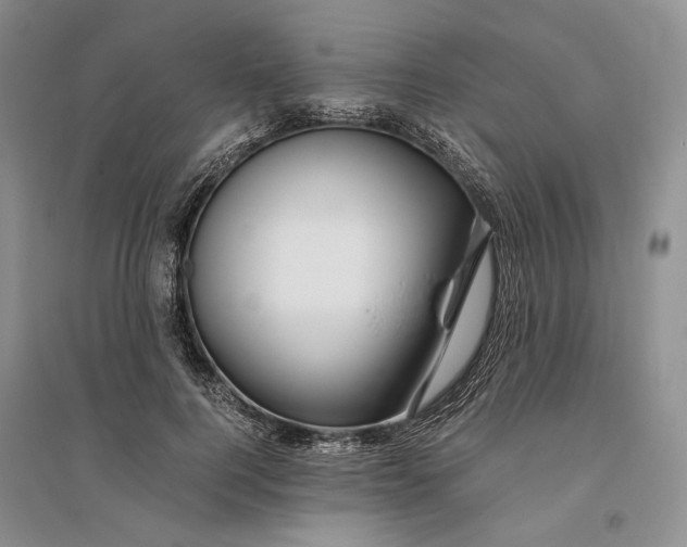 X0000094080744200711091214