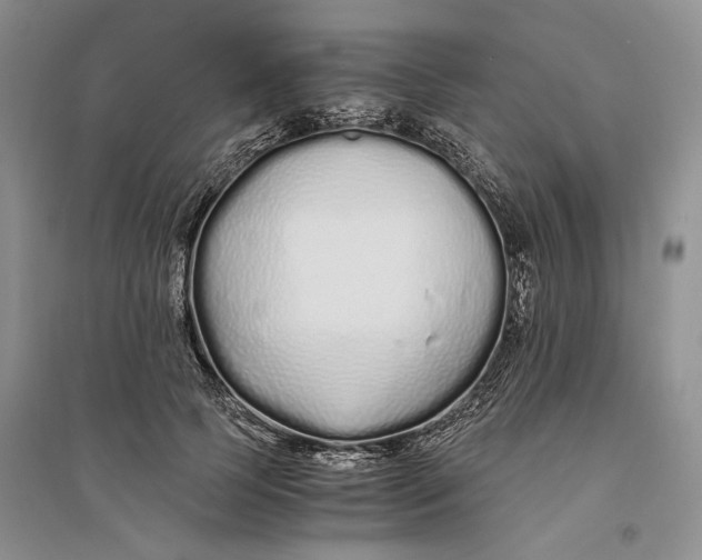 X0000094080745200711091214