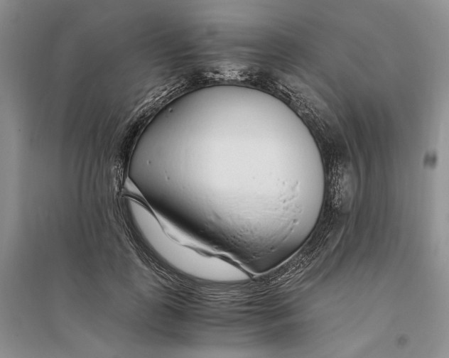 X0000094080747200711091214