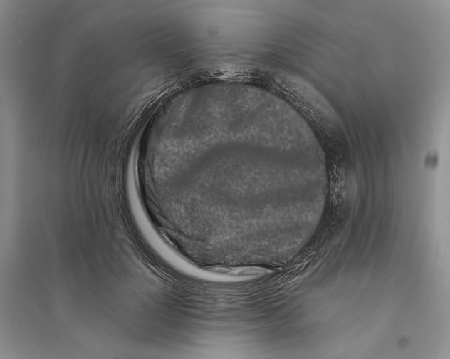 X0000094080748200711091214