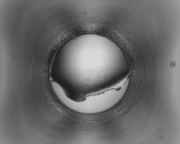 X0000094080750200711091214