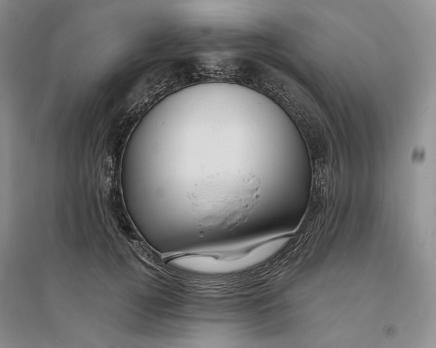 X0000094080752200711091214
