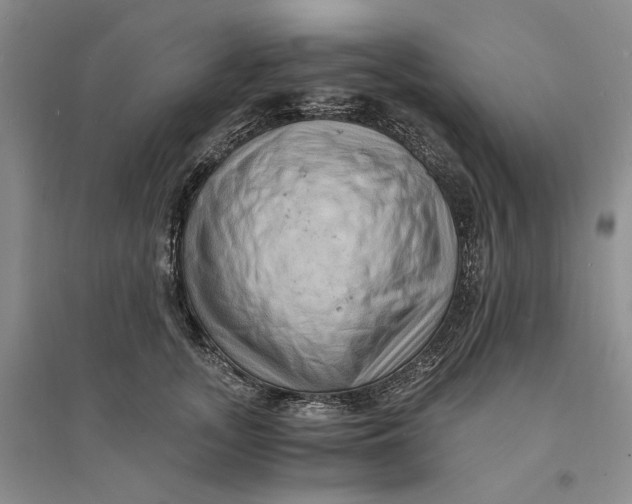 X0000094080755200711091214