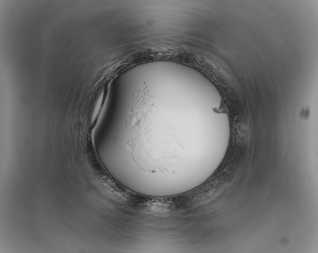 X0000094080756200711091214