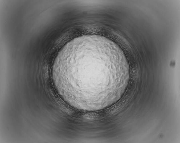 X0000094080757200711091214