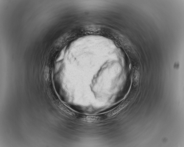X0000094080758200711091214