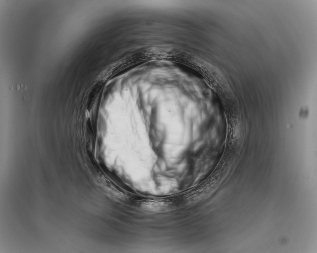 X0000094080759200711091214