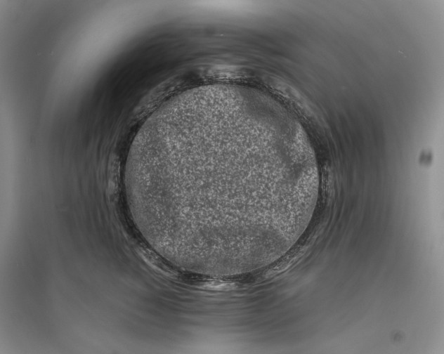 X0000094080760200711091214