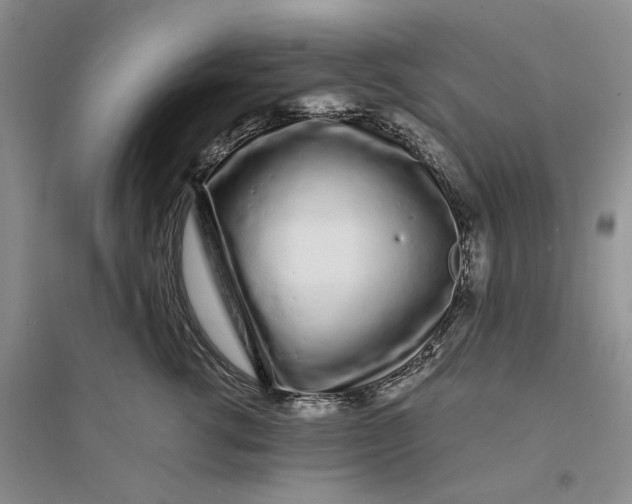 X0000094080762200711091214