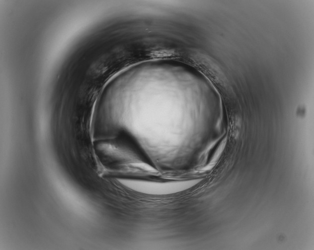 X0000094080763200711091214