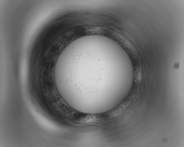X0000094080764200711091214