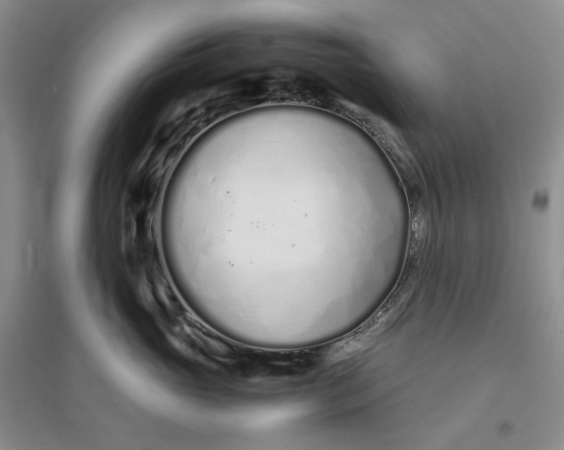 X0000094080765200711091214
