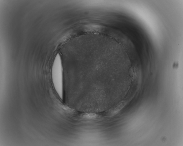 X0000094080767200711091215